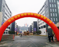 我公司又一力作，格莱特手机科技园食堂午夜福利视频网站工程正式开业