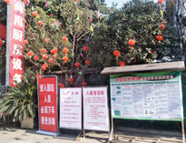 疫情无情人有情，我为抗疫做贡献！
